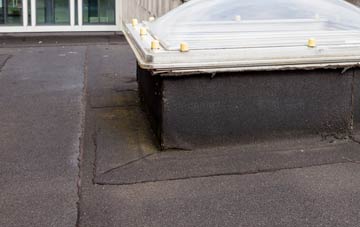 disadvantages of Dodington flat roofs