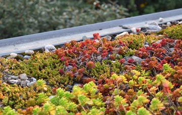 the cost of Dodington green roof installation
