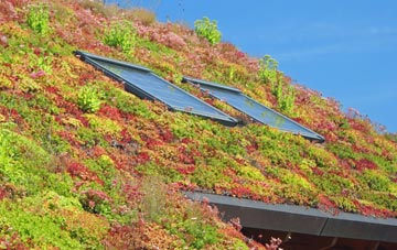 Dodington living roof systems