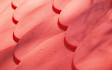 Dodington plastic roof costs