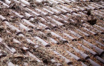 Dodington roof cleaning companies