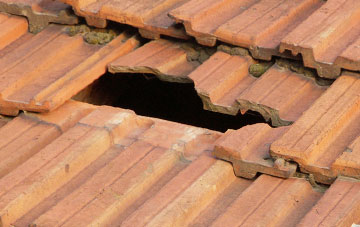 roof repair Dodington
