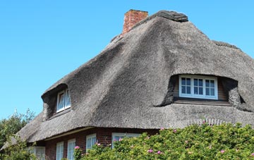 thatch roofing Dodington