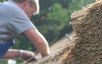 professional Dodington thatchers