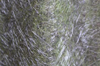 Dodington fibreglass roof work