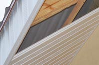 rated Dodington soffit repair companies